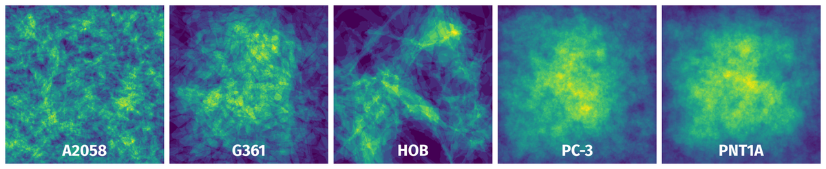 Spatial Heatmap