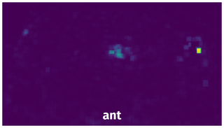 Spatial Heatmap