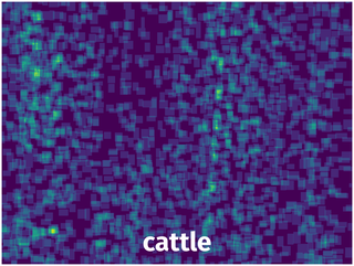 Spatial Heatmap