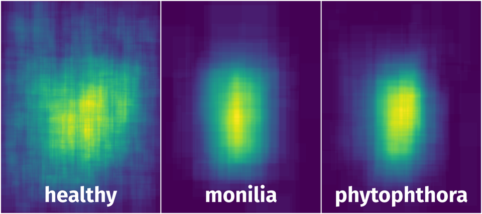 Spatial Heatmap