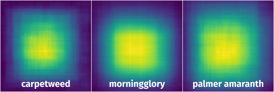 Spatial Heatmap