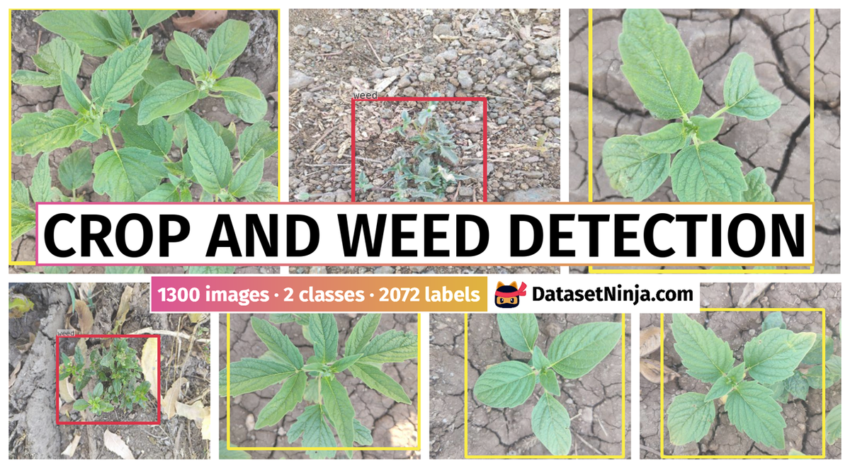 Crop and Weed Detection - Dataset Ninja