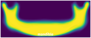 Spatial Heatmap