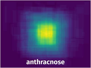 Spatial Heatmap