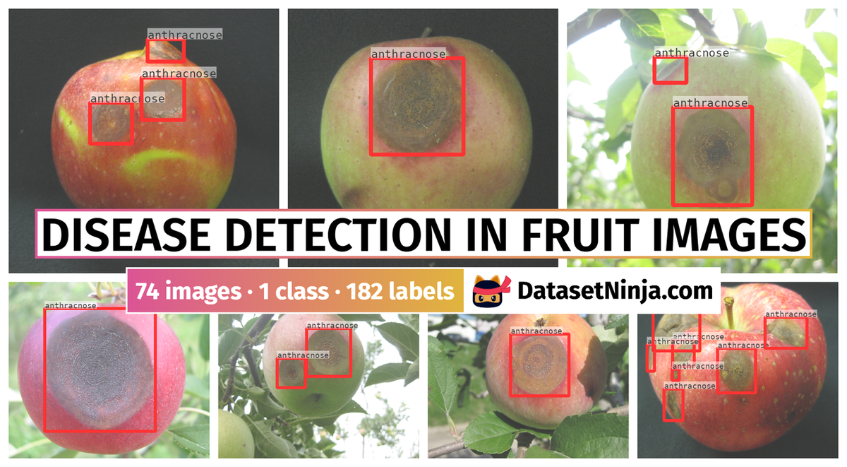 Dataset Poster