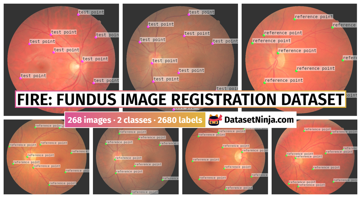 Dataset Poster