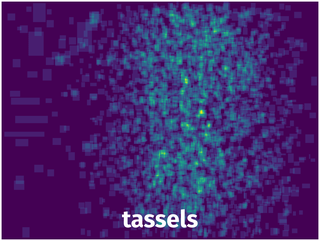 Spatial Heatmap