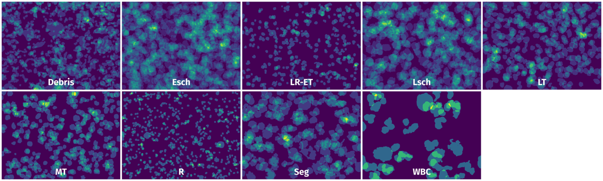 Spatial Heatmap