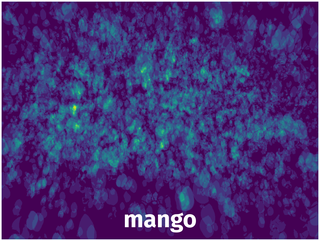 Spatial Heatmap