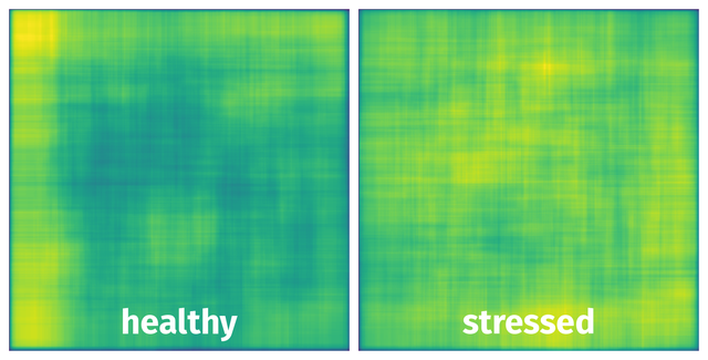 Spatial Heatmap