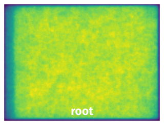 Spatial Heatmap