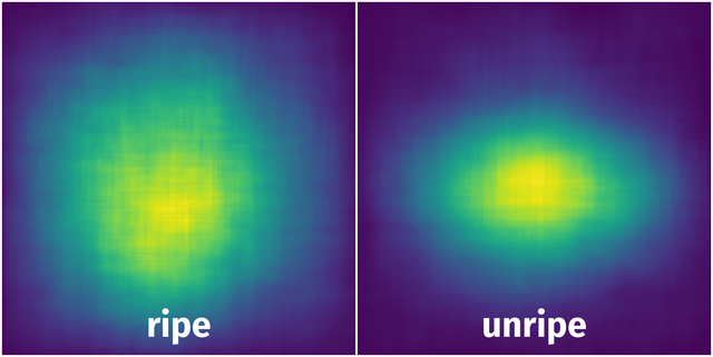 Spatial Heatmap