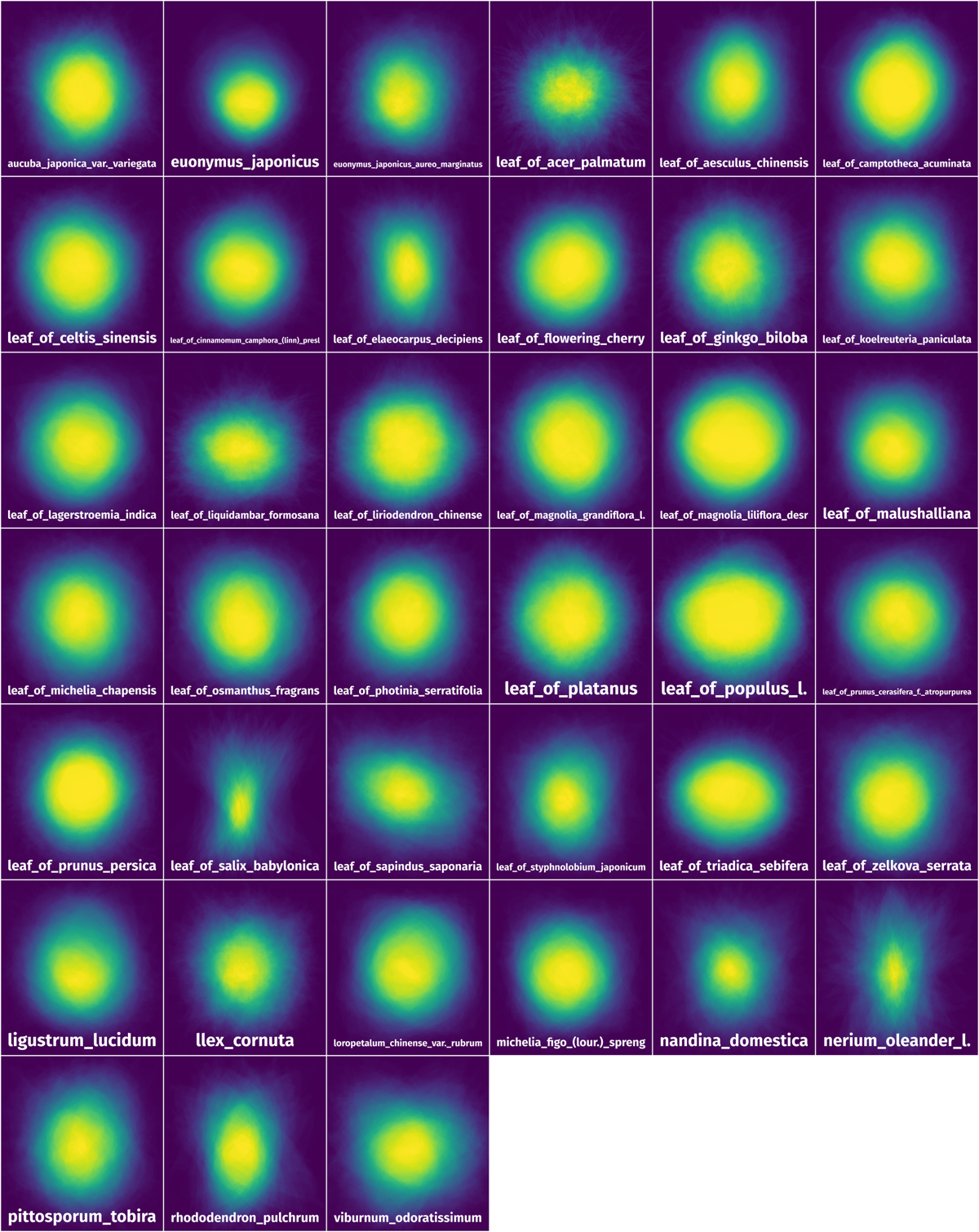 Spatial Heatmap