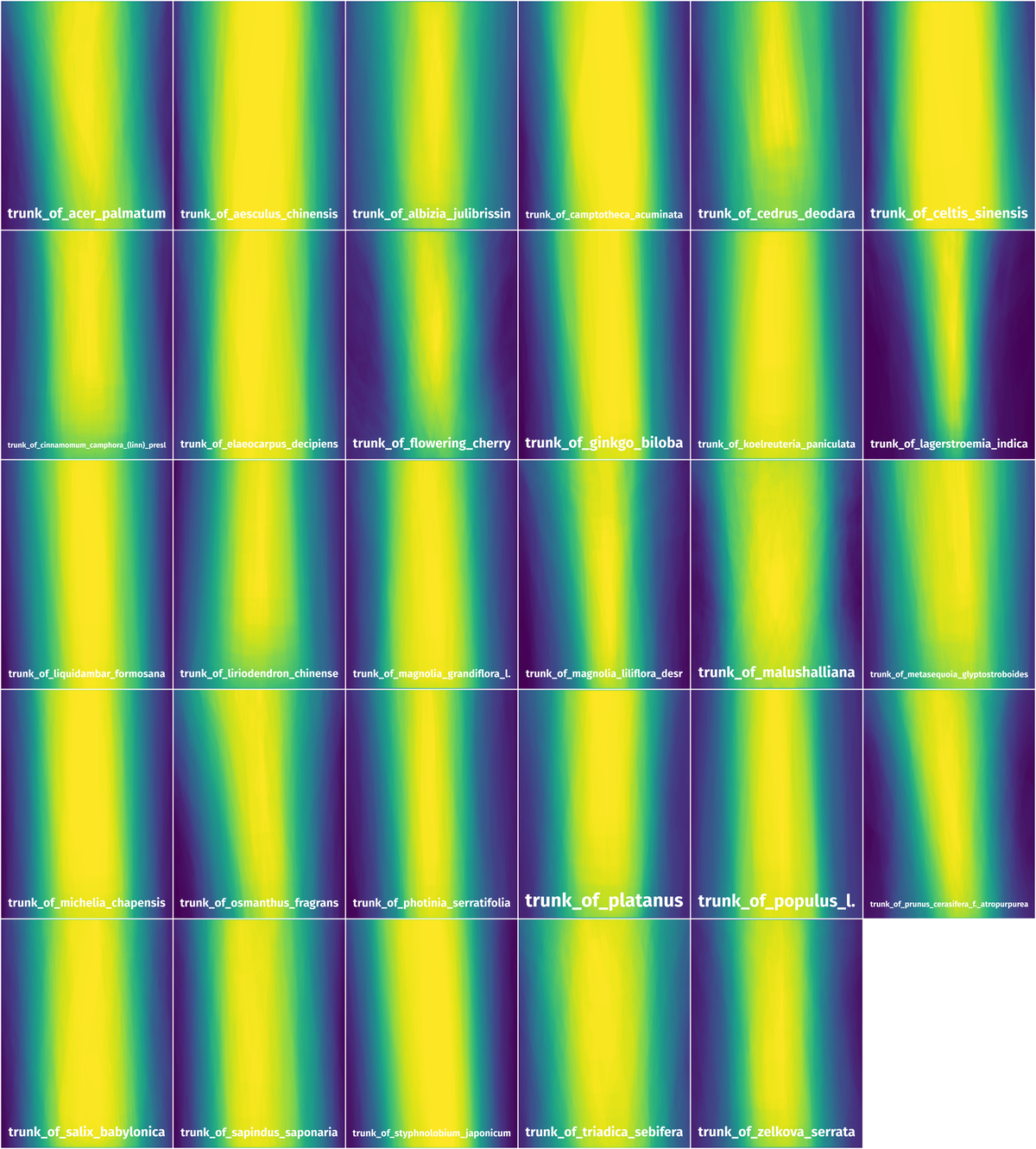 Spatial Heatmap