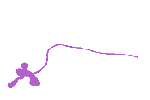 Sample annotation mask from EMDS-6