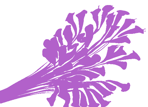 Sample annotation mask from EMDS-6