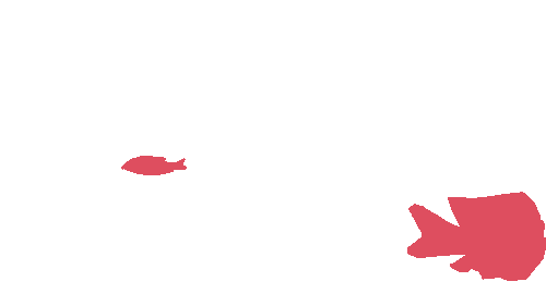 Sample annotation mask from DeepFish