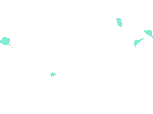 Sample annotation mask from Fluorescent Neuronal Cells