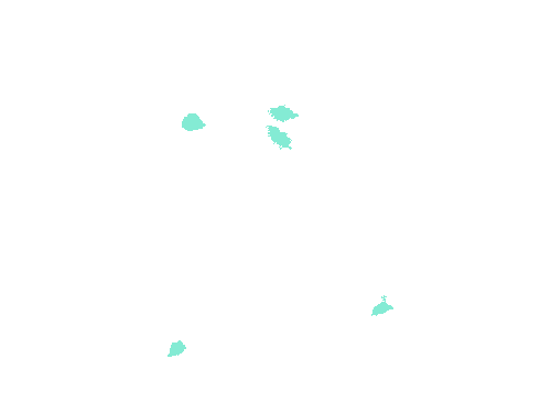 Sample annotation mask from Fluorescent Neuronal Cells