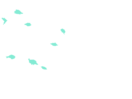 Sample annotation mask from Fluorescent Neuronal Cells