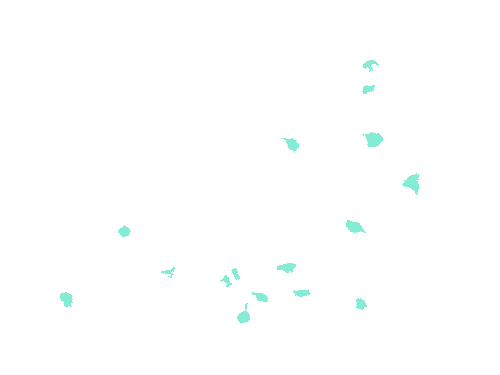 Sample annotation mask from Fluorescent Neuronal Cells