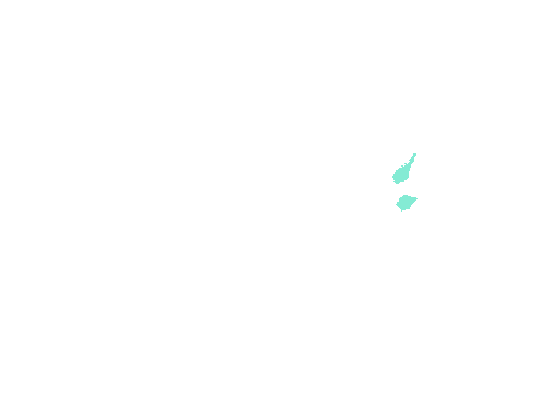 Sample annotation mask from Fluorescent Neuronal Cells