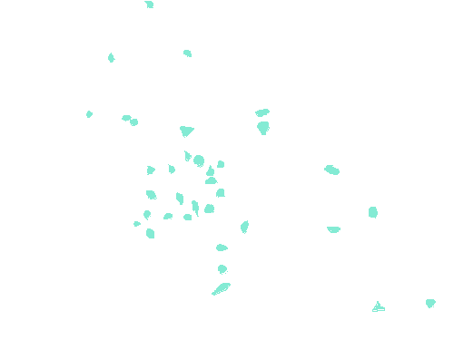 Sample annotation mask from Fluorescent Neuronal Cells