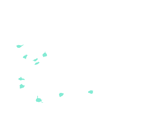 Sample annotation mask from Fluorescent Neuronal Cells