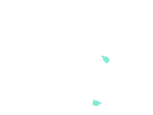 Sample annotation mask from Fluorescent Neuronal Cells