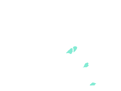 Sample annotation mask from Fluorescent Neuronal Cells