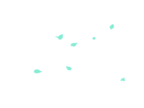 Sample annotation mask from Fluorescent Neuronal Cells