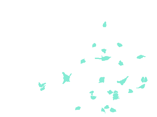 Sample annotation mask from Fluorescent Neuronal Cells