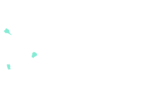 Sample annotation mask from Fluorescent Neuronal Cells