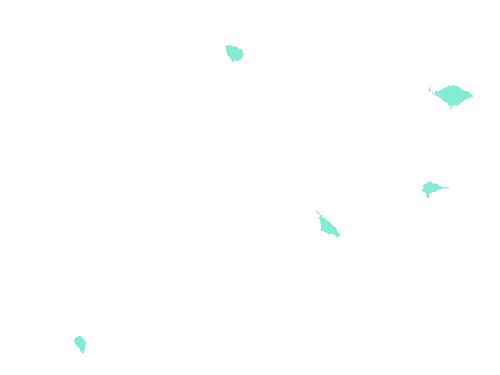 Sample annotation mask from Fluorescent Neuronal Cells