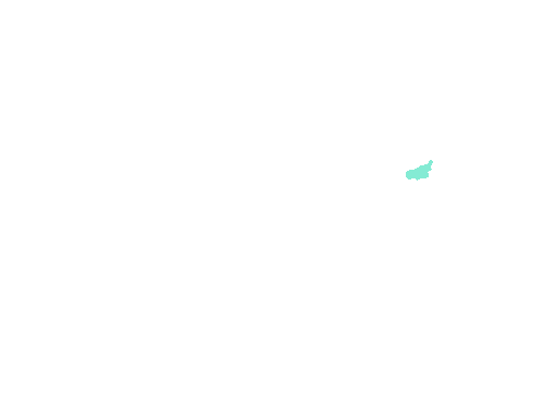 Sample annotation mask from Fluorescent Neuronal Cells