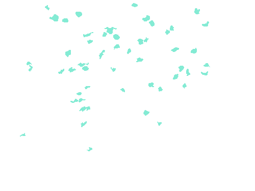 Sample annotation mask from Fluorescent Neuronal Cells