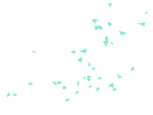 Sample annotation mask from Fluorescent Neuronal Cells