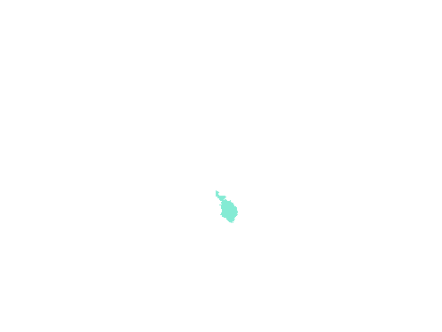 Sample annotation mask from Fluorescent Neuronal Cells