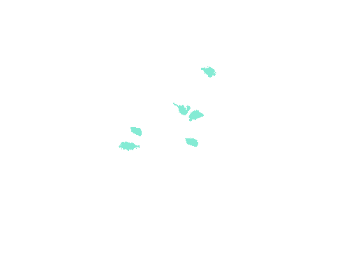 Sample annotation mask from Fluorescent Neuronal Cells