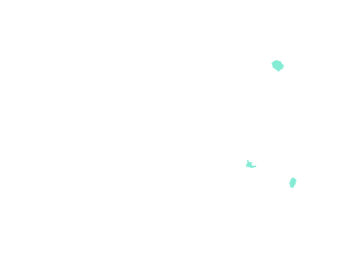 Sample annotation mask from Fluorescent Neuronal Cells