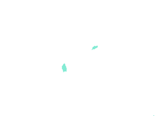 Sample annotation mask from Fluorescent Neuronal Cells