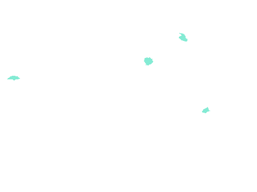 Sample annotation mask from Fluorescent Neuronal Cells