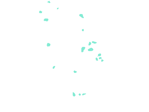 Sample annotation mask from Fluorescent Neuronal Cells