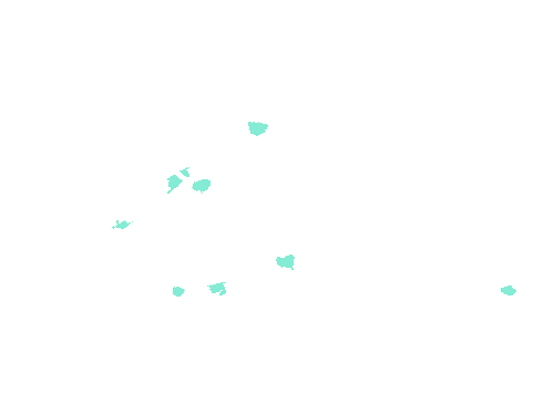 Sample annotation mask from Fluorescent Neuronal Cells