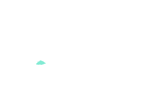 Sample annotation mask from Fluorescent Neuronal Cells