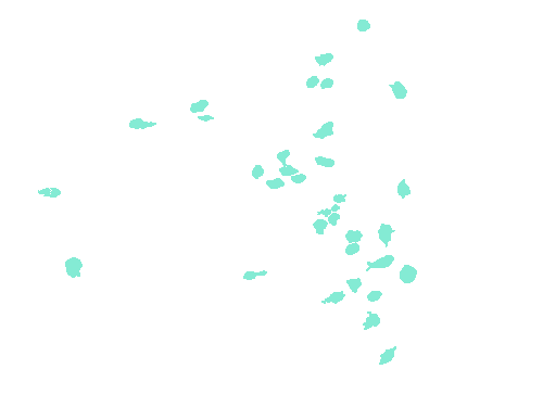 Sample annotation mask from Fluorescent Neuronal Cells