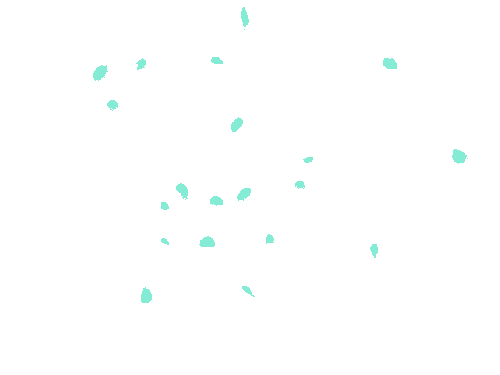 Sample annotation mask from Fluorescent Neuronal Cells