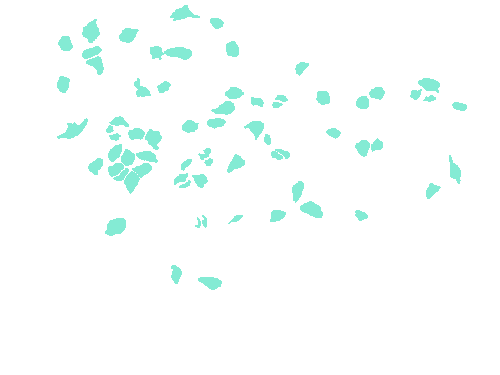 Sample annotation mask from Fluorescent Neuronal Cells