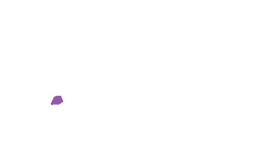 Sample annotation mask from Accurate Nevus Shapes