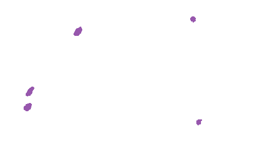 Sample annotation mask from Accurate Nevus Shapes